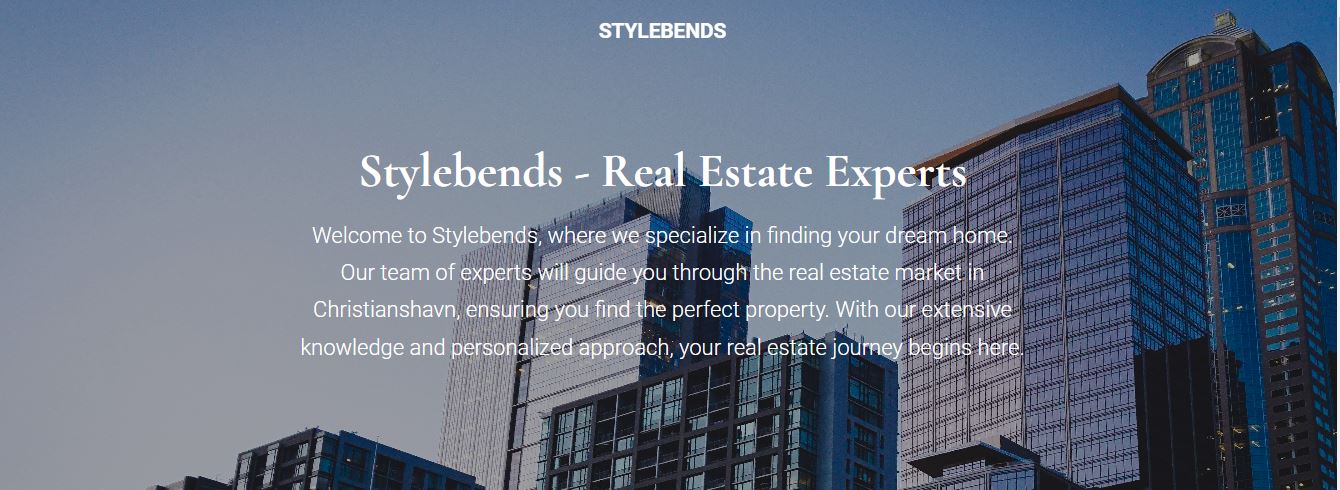 a professional website for Stylebends
